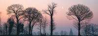 10-Clair-de-Lune-en-Bretagne-(-56-)