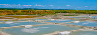 24-Marais-Salants-de-Guérande-(-44-)